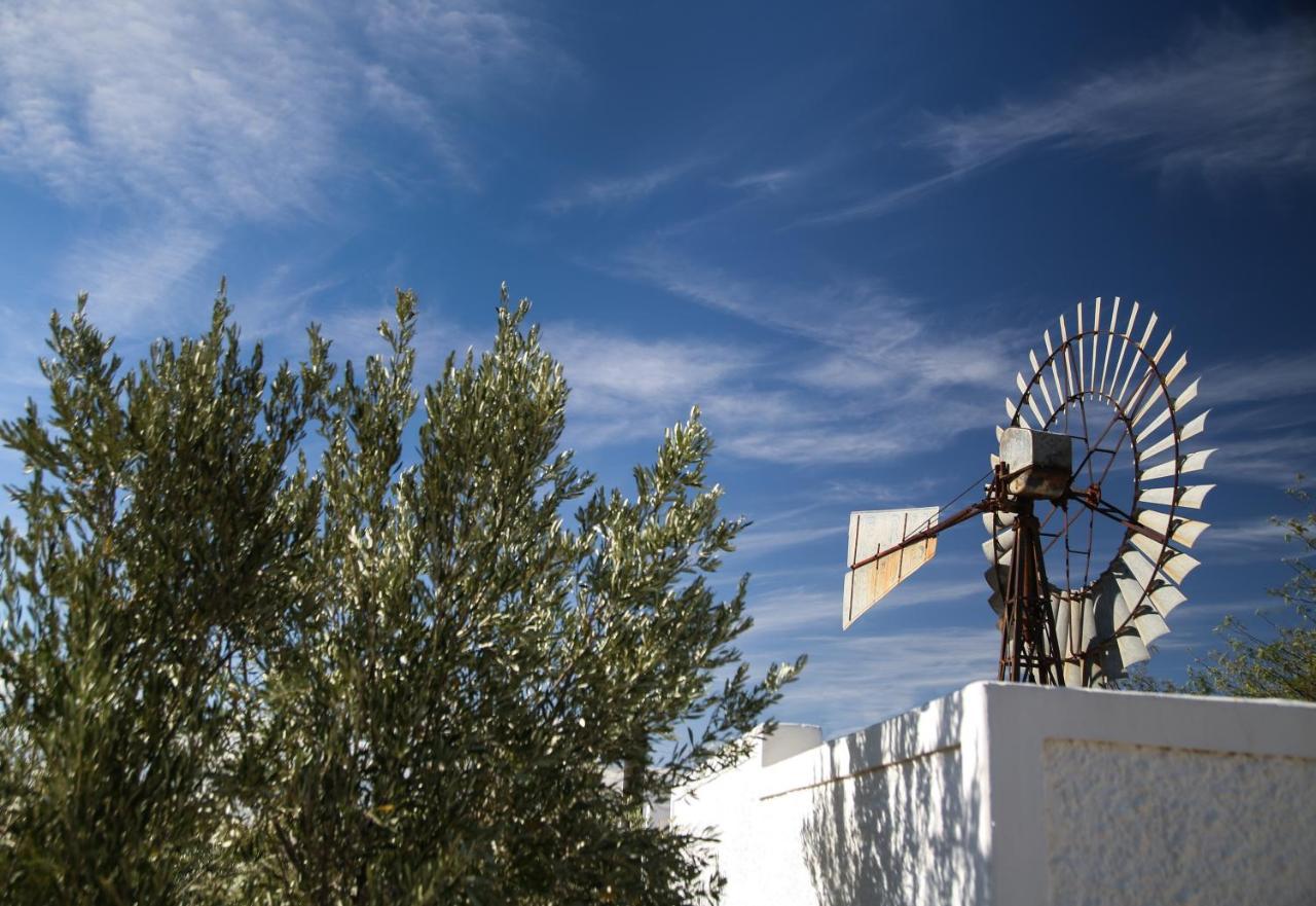 Dennehof Karoo Guesthouse Prince Albert Esterno foto